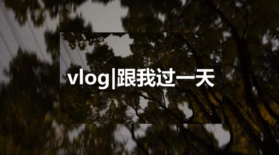 Vlog已经火了，但是你还不知道Vlog是什么？
